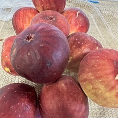 甘ーい、いちじく　大盛り　お得の画像