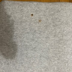 ホットカーペット引き取り限定の画像