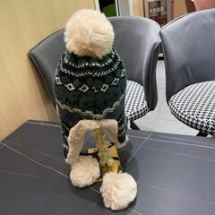 プラダ耳あて付き帽子の画像