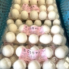 【配送ドライバーでガッツリ稼ぐ！】独立起業も目指せる！軽バンドライバー🚚🥚週5日.6日。の画像