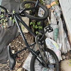 BMXの画像
