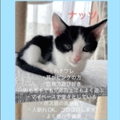 9月13日(土)ウィズマル動物病院医療センター立川院様にて『 立...