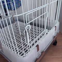 動物用ゲージの画像
