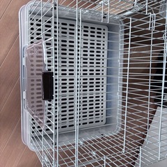 動物用ゲージの画像