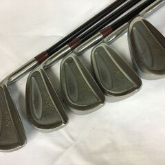 A2708　Daiwa GC　ダイワ　アイアンセット　5本セット　S.5.6.8.9　Astron Lady　FLEX-L　ゴルフクラブ　現状品の画像
