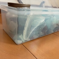 シーグラス　大量 の画像