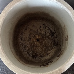 モルタル風植木鉢の画像