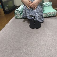 【再々値下げしました】大型、中型犬用ベッド　未使用品　美品の画像
