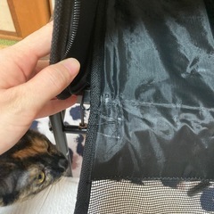 猫キャリーの画像
