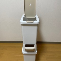 ゴミ箱　2段分別スリム　41L ライトベージュの画像