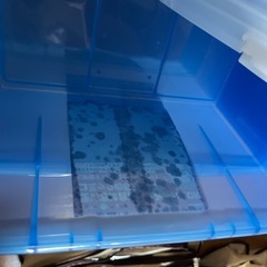 収納ケースと収納バッグセットの画像