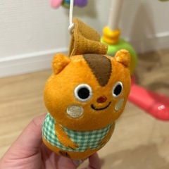 メリーの画像