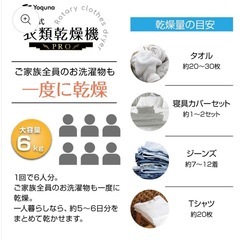 衣類乾燥機ほぼ新品6kg【訳あり】の画像