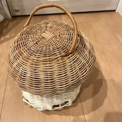 サリュのおうちバスケットの画像