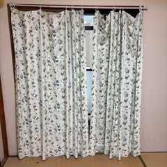 カーテングリーン葉っぱの画像