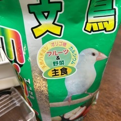 文鳥初めてセットの画像