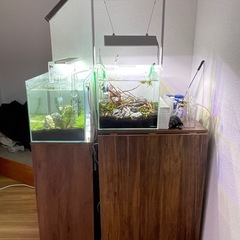 テーブル(水槽台にも)の画像