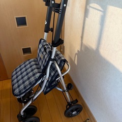 新品同様！！シルバーカー 新型プリエ 軽量 コンパクト 敬老の日 スリム 座れる おしゃれ  SGマーク プレゼント 折りたたみ ショッピングカー シルバーカート 屋外 室内 手押し車 の画像