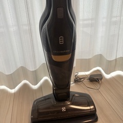 エルゴラピート　掃除機の画像