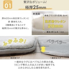 新品　スノーグレーラグ　200✖️250 25㎜ラグの画像