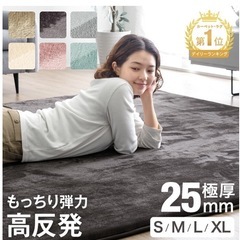 新品　スノーグレーラグ　200✖️250 25㎜ラグの画像