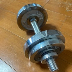 ダンベル　10Kgの画像