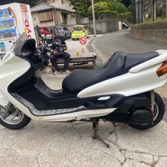 マジェスティ250 SG03J【423】の画像