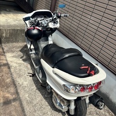 ビックスクーター！マジェ250の画像