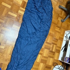 夏用シュラフの画像