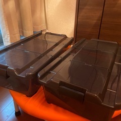 カインズ キャリコオレア 2個 の画像
