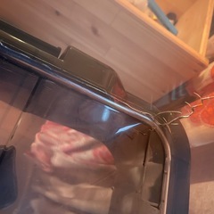 カインズ キャリコオレア 2個 の画像