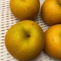 秋月 梨4個の画像