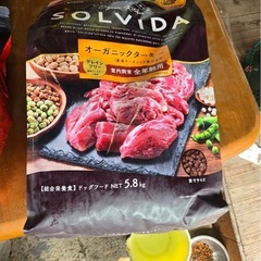 ドックフードの画像