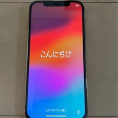 ◆美品◆Apple iPhone 12 Pro 256GB 箱付きの画像