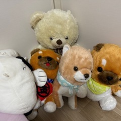 ぬぐるみの画像