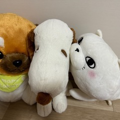 ぬぐるみの画像