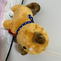 ぬぐるみの画像