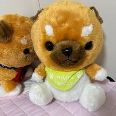 ぬぐるみの画像