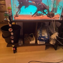 水槽セットの画像