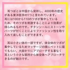 耳ツボジュエリー　初級講座の画像