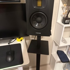 adam speakers 売りますの画像