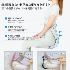 姿勢矯正 椅子【整体師・理学療法士推薦】骨盤サポートチェア バランスチェア 腰痛の画像
