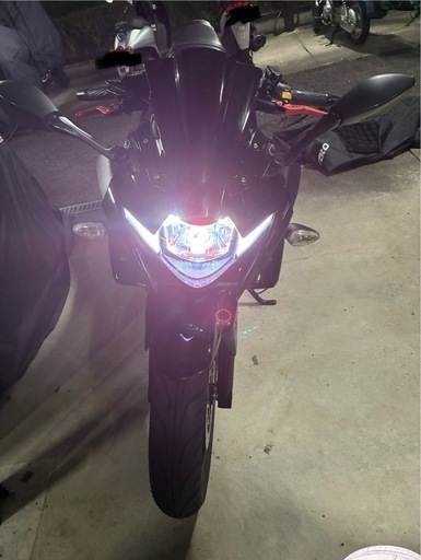 早い方順　美車　gsx250r abs etc付き