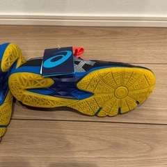 バドミントンシューズ　アシックス　ゲルブレード6 25cmの画像