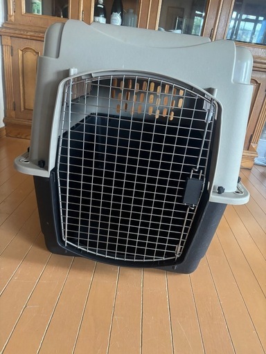 決まりました❗️バリケンネル