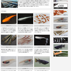 サムネイル