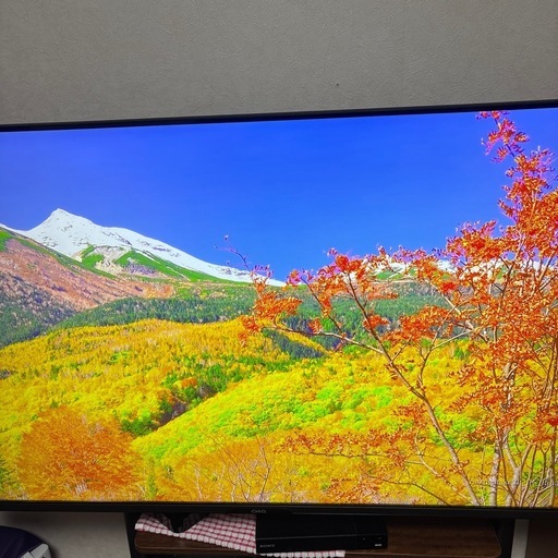 チューナーレス4K.50インチ