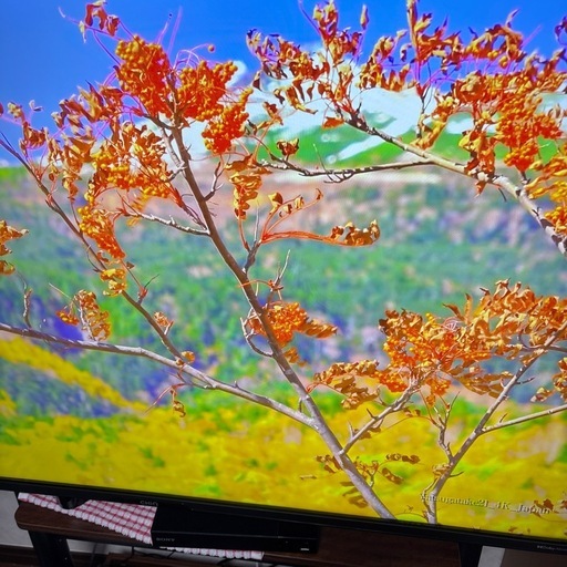 チューナーレス4K.50インチ