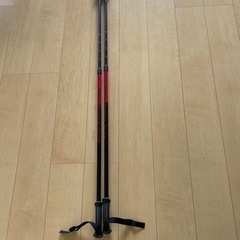 トレッキングスティック・杖の画像