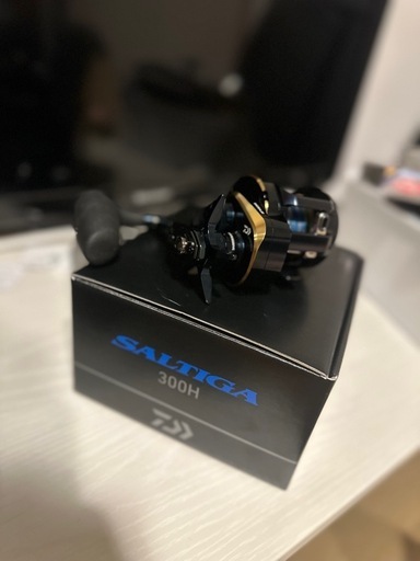 【再掲】25ソルティガ300H